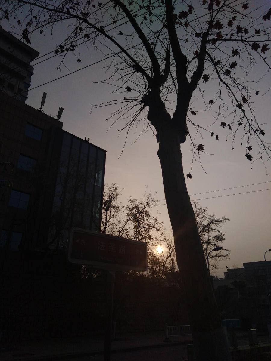 山大中心校区(山东大学中心校区官网)