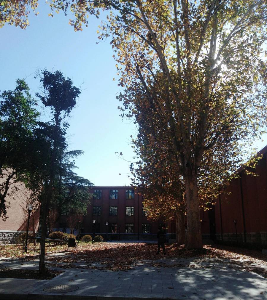 山大中心校区(山东大学中心校区官网)