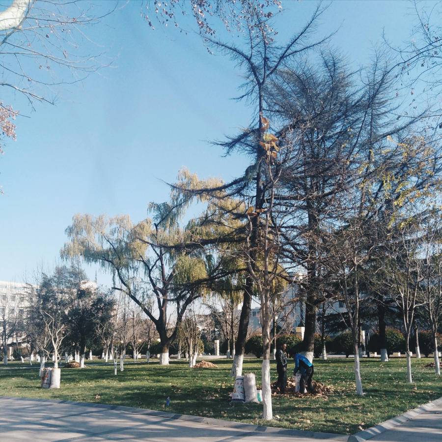 山大中心校区(山东大学中心校区官网)