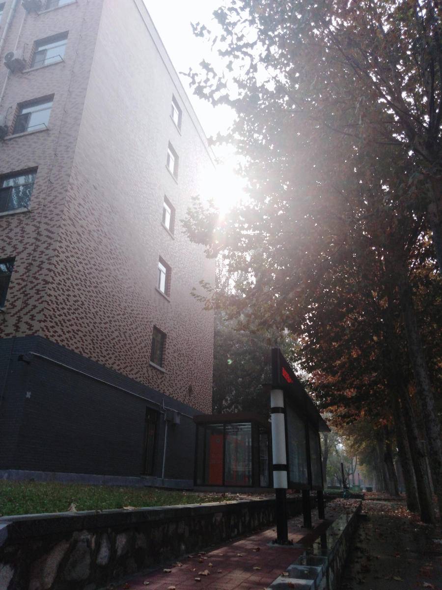山大中心校区(山东大学中心校区官网)
