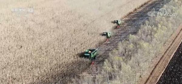 0毫米等于多少厘米(30厘米的实物参照)"
