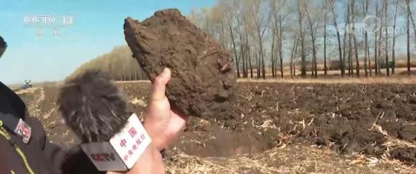 0毫米等于多少厘米(30厘米的实物参照)"
