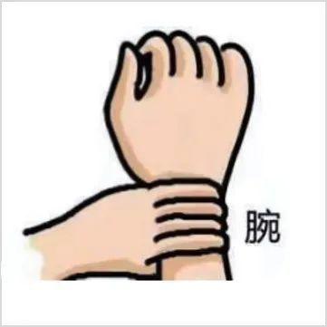 洗手的目的是什么，洗手的目的是（“全球洗手日”来临~来看看你真的会洗手吗）