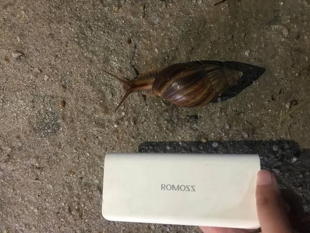 桂林旅游攻略自由行最佳线路，桂林自驾游最详细攻略（2022年广西桂林北海）