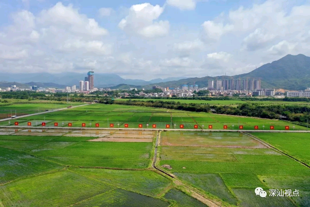 湖南杂交水稻研究中心，什么是袁隆平的杂交水稻研究（国家杂交水稻工程技术研究中心广东分中心落户深汕）