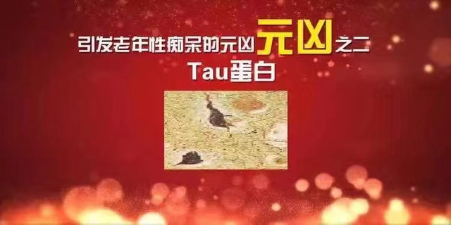 一个人心死了的表现，一个人对另一个人心死了的表现（有这5个特征的人真的很危险）