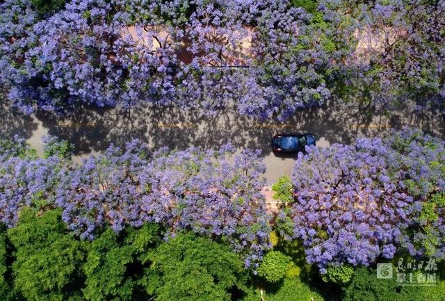 春城是哪个城市，山城是哪个城市（昆明，特大城市）