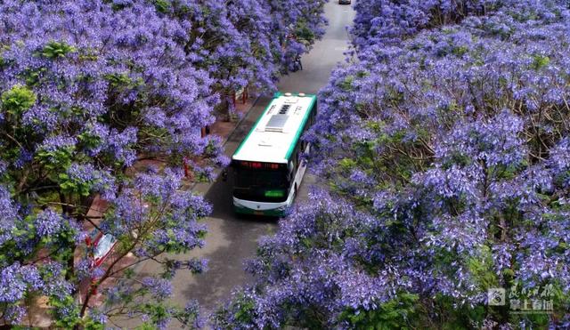 春城是哪个城市，山城是哪个城市（昆明，特大城市）