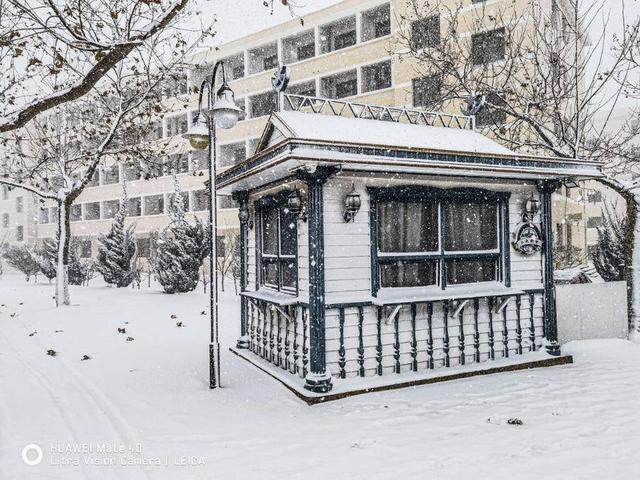 形容大学生青春活力的词语，体现青春活力的成语（赵云天《四季哈威》）