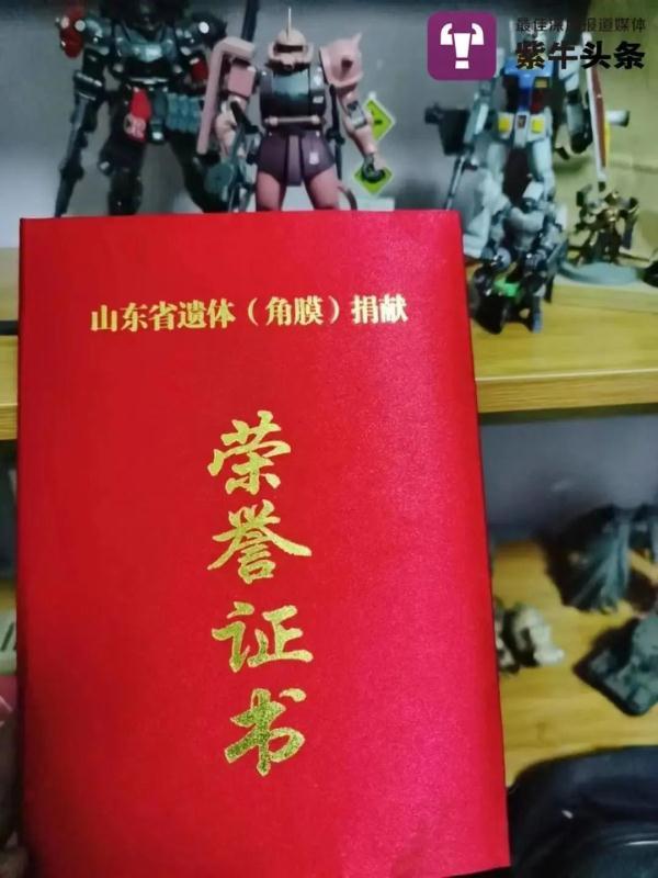 梦到死去的同学，梦见同学去世是怎么回事（母亲自学3D建模替他接单）