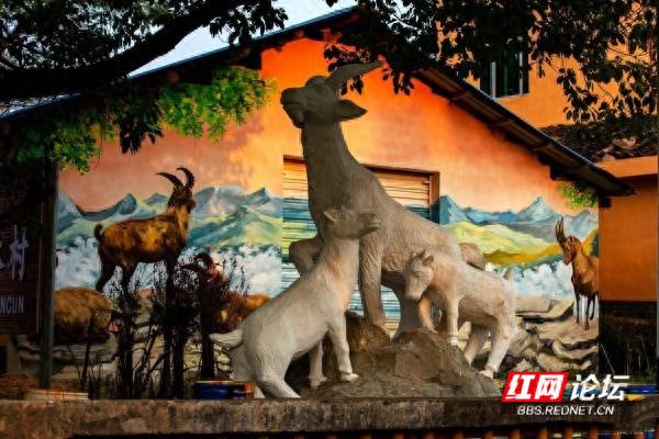 打卡“麻阳八景”中的石羊仙踪，在这里过上神仙般的生活