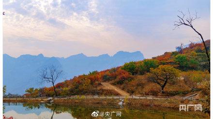 层林尽染！北京房山坡峰岭红叶迎来最佳观赏期