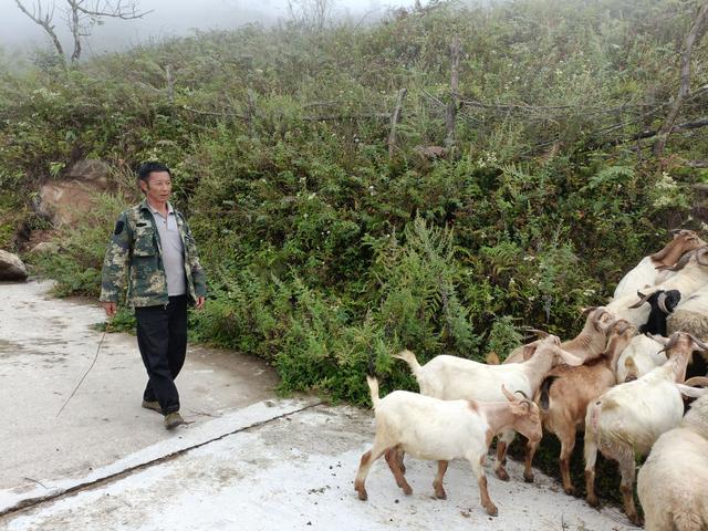 女人梦见自己在大风中行走，女人梦见自己在大风中奔跑（救与被救：寻找甘宇的17天）