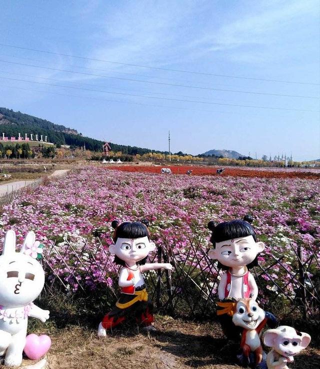 牵牛花是喇叭花吗，喇叭花与牵牛花有什么区别（“花草之王”牵牛花）