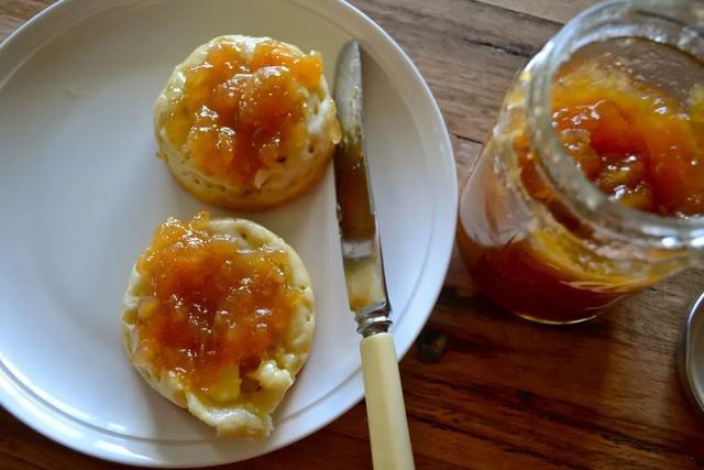 菲油果苗品种介绍，叶常绿、花奇美、果可食~庭园绿化新秀菲油果