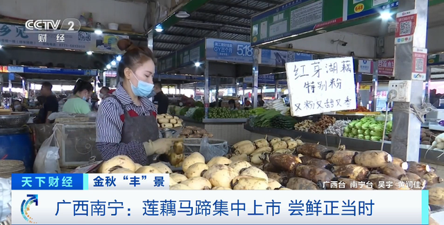 水八仙是指哪八仙，八仙过海的八仙分别是哪几个（秋天多吃它，最补人）