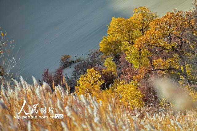敦煌属于哪个省哪个市，敦煌旅游景点在哪个省哪个市（甘肃敦煌：戈壁胡杨醉金秋）