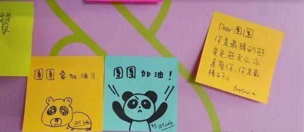 赠台大熊猫病情加重，赠台大熊猫还回来吗（赠台大熊猫“团团”病情恶化）