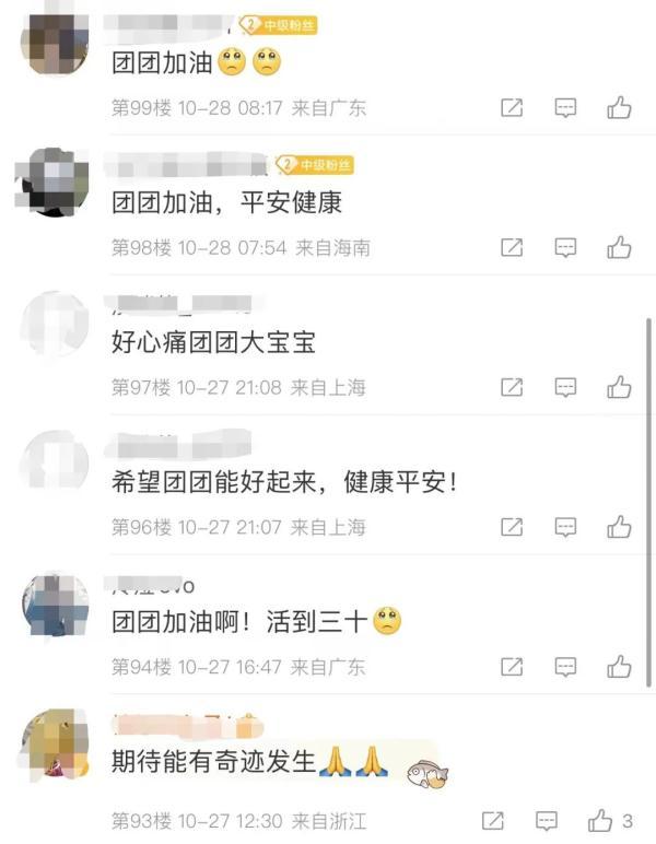 赠台大熊猫病情加重，赠台大熊猫还回来吗（赠台大熊猫“团团”病情恶化）