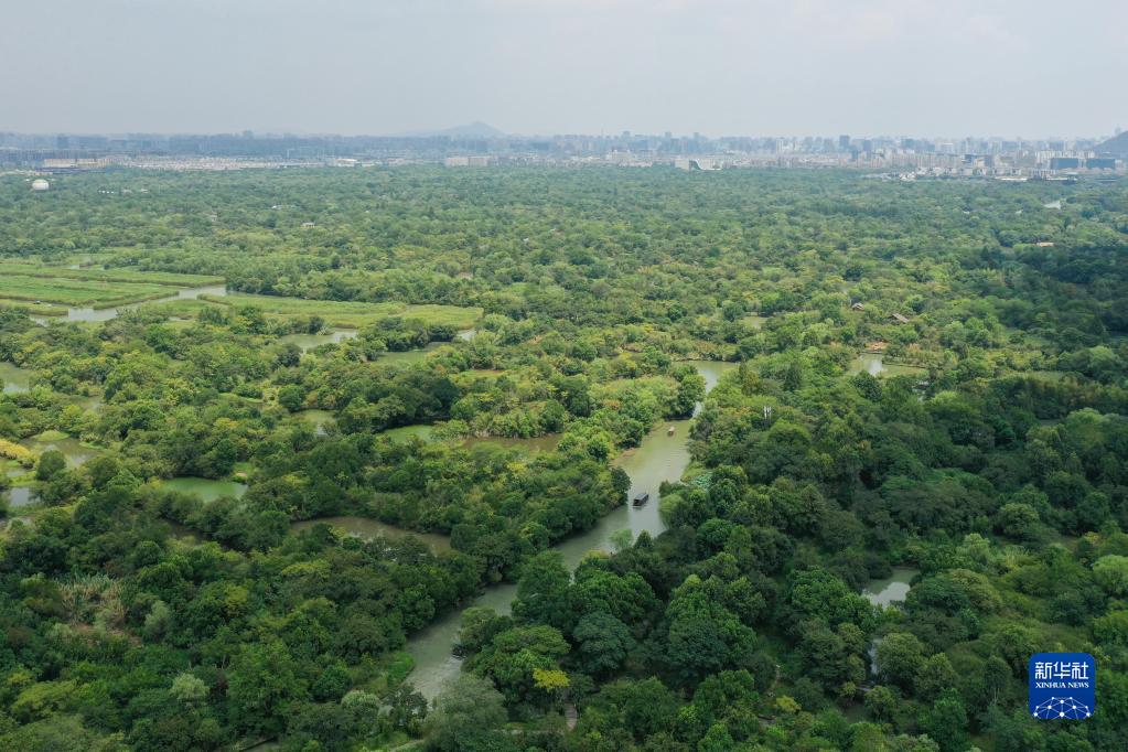 杭州西溪湿地旅游建议，湿地之美丨杭州西溪湿地