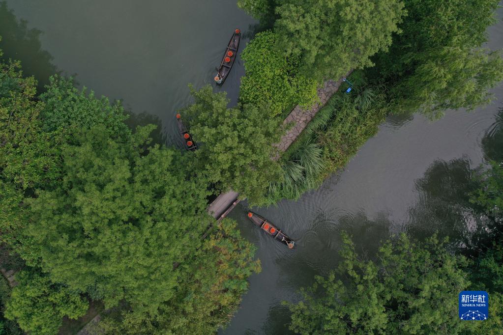 杭州西溪湿地旅游建议，湿地之美丨杭州西溪湿地