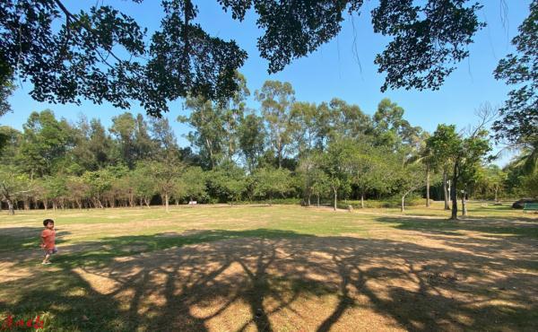 六级风每秒多少米，六级风是每秒多少米（台风即将进入南海）