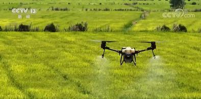 1亩地是多少平方米，1.5亩地是多少平方米（丰收美景 绘就在每一亩土地上）