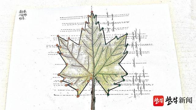 轴对称图形怎么画，轴对称和中心对称图形怎么画（这些初中生设计的“轴对称图形”美出新高度）