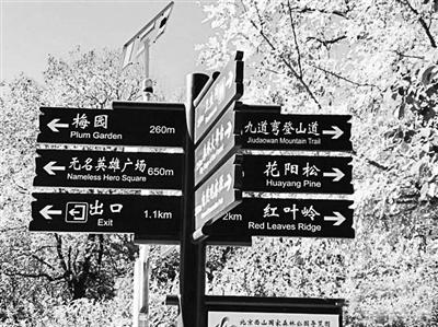 找一个晴天，带娃记取2022京城这一份灿烂