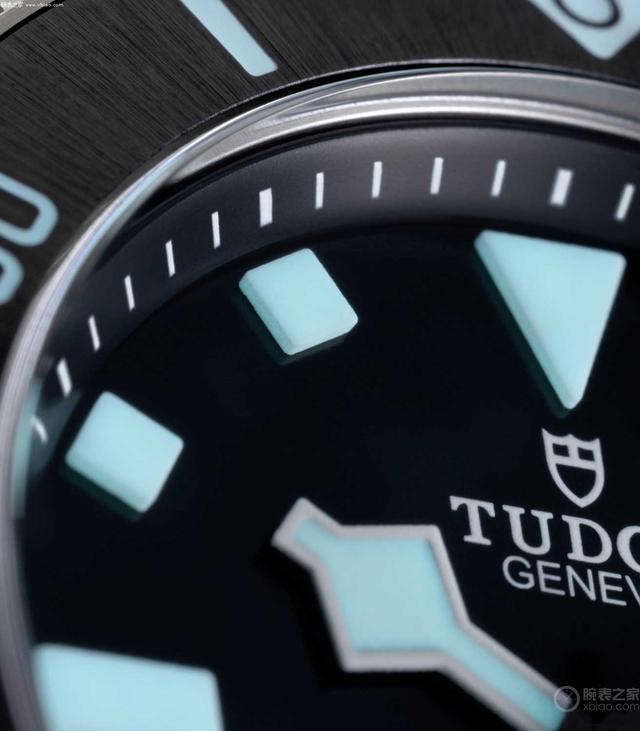 帝陀表什么档次，帝驼手表属于什么档次（2022年“性价比之王”）