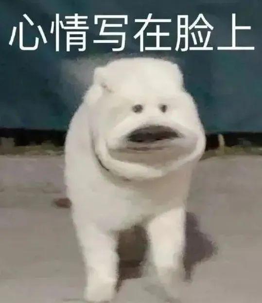 淘宝怎么追加评论，手机淘宝怎么在评价后追加评价（快递公司竟然给我发福利了）