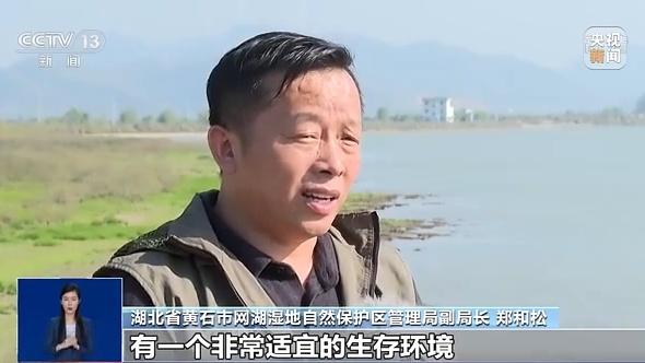 湿地形成原因，湿地何以成为“大地之肾”