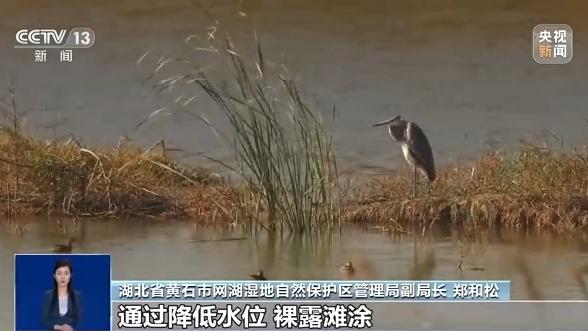 湿地形成原因，湿地何以成为“大地之肾”