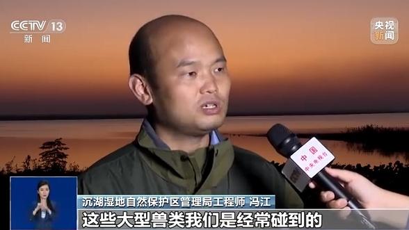 湿地形成原因，湿地何以成为“大地之肾”