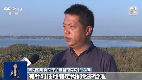 湿地形成原因，湿地何以成为“大地之肾”