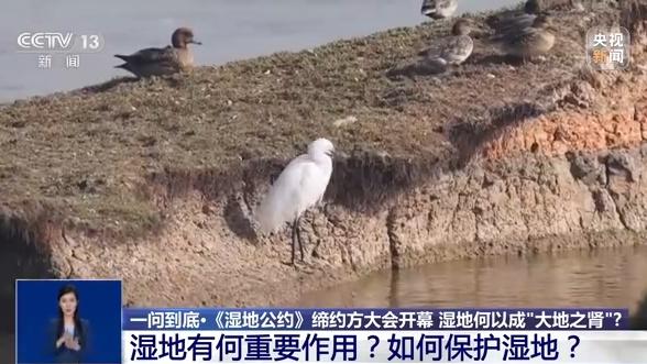 湿地形成原因，湿地何以成为“大地之肾”