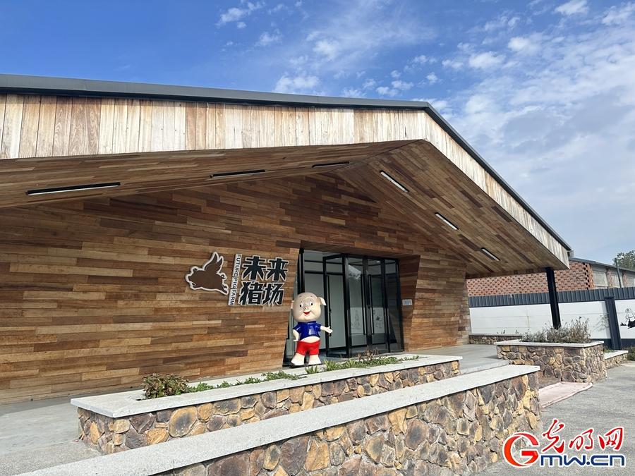 桐乡石门家电维修电话 力所能及吧—浙江省口罩生产企业及联系方式整理汇总