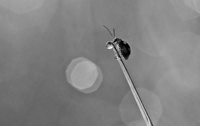 立冬是冬月吗，立冬是公历几月（秋深叶落已立冬）