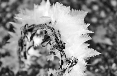 立冬是冬月吗，立冬是公历几月（秋深叶落已立冬）