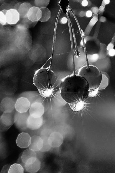 立冬是冬月吗，立冬是公历几月（秋深叶落已立冬）