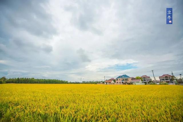 每年立冬是同一天吗，今日立冬