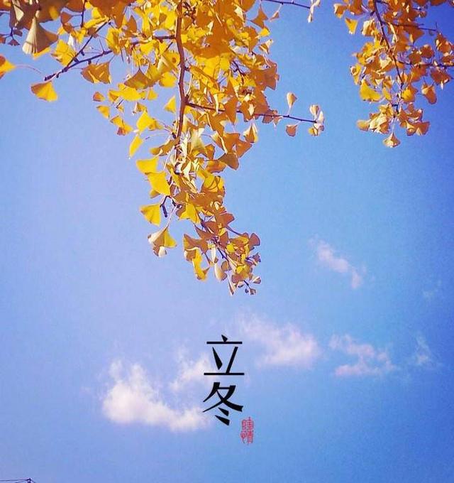 二十四节气立冬，青未了，二十四节气之立冬