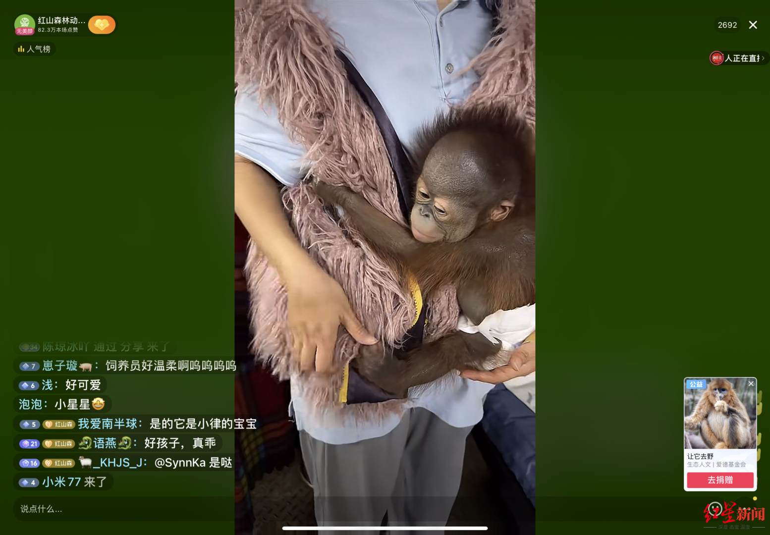 南京一动物园直播筹款：揭不开锅了，动物园直播筹款引关注