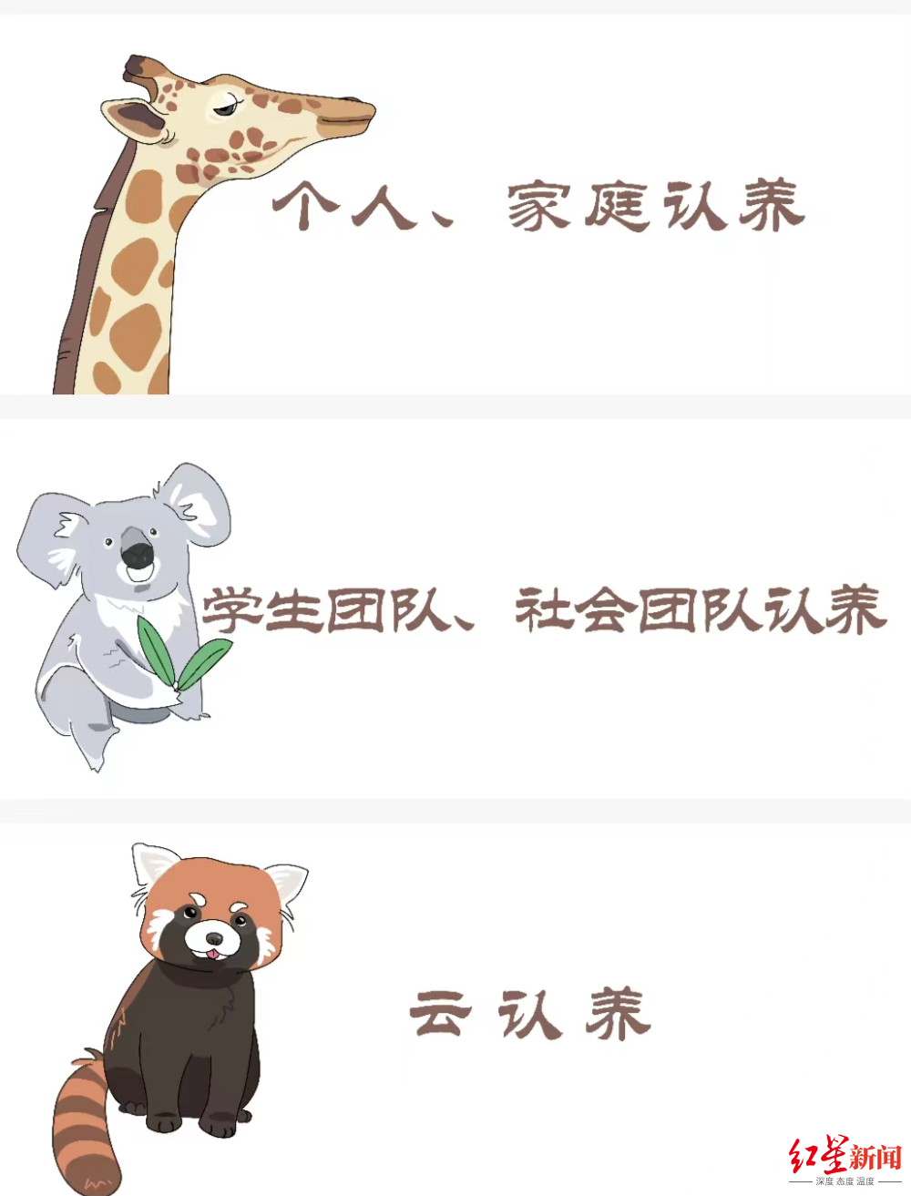 南京一动物园直播筹款：揭不开锅了，动物园直播筹款引关注