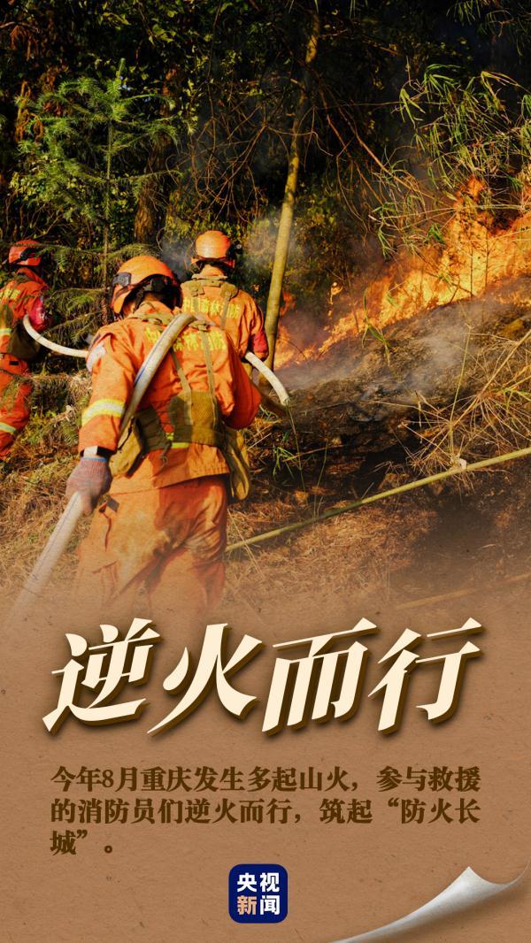 全国消防日是几月几日，我国消防日是几月几号（一组图致敬逆行英雄）