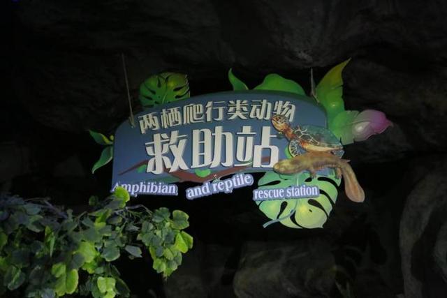 杭州长乔极地海洋公园，杭州长乔极地海洋公园亲子游（杭州海底世界的“老朋友”还好吗）