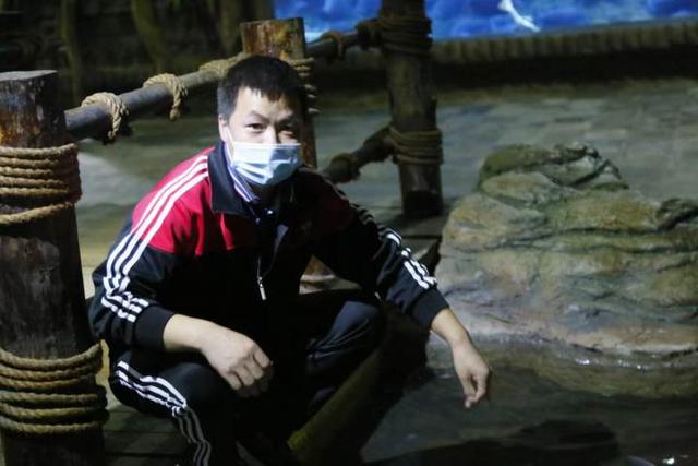 杭州长乔极地海洋公园，杭州长乔极地海洋公园亲子游（杭州海底世界的“老朋友”还好吗）