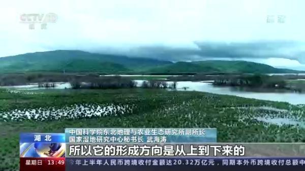 湿地能够吸收空气中的二氧化碳，湿地能够吸收空气中的二氧化碳吗（我国将加大泥炭沼泽湿地保护）