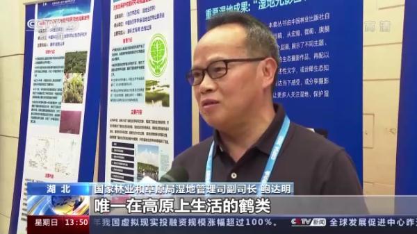 湿地能够吸收空气中的二氧化碳，湿地能够吸收空气中的二氧化碳吗（我国将加大泥炭沼泽湿地保护）