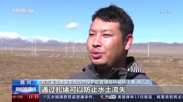 湿地能够吸收空气中的二氧化碳，湿地能够吸收空气中的二氧化碳吗（我国将加大泥炭沼泽湿地保护）